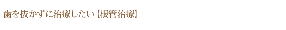 歯を抜かずに治療したい【根管治療】